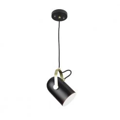 Industrial 1-Light Matt Black Pendant Directional by EQLight