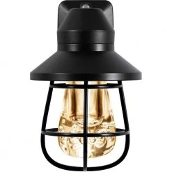 0.5-Watt Plug In Light Sensing Integrated Vintage LED Cage Night Light